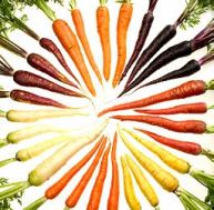 25/256px-carrots-of-many-colors-cutout.jpg