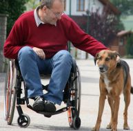 al/allocation-adultes-handicapes.jpg