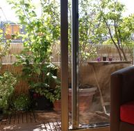 ba/balcon-arbore.jpg