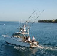 ba/bateau-peche-sportive.jpg