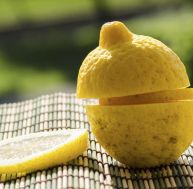 ci/citron-givre.jpg
