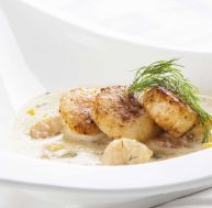 co/coquilles-saint-jacques-a-creme.jpg
