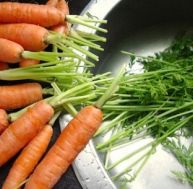 cu/cuisiner-fane-carotte.jpg