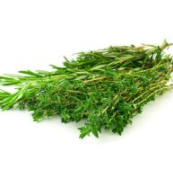 cu/culture-thym-planter-recolter-0.jpg