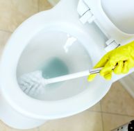 de/desinfecter-toilettes-sans-eau-javel.jpg