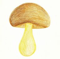 de/dessin-cepe-1.jpg