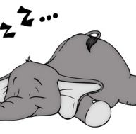 de/dessiner-elephant.jpg