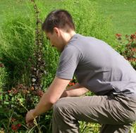 de/devenir-jardinier.jpg