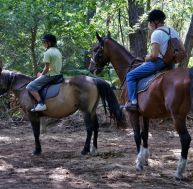 eq/equitation.jpg