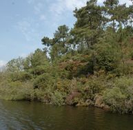 et/etang-perche-0.jpg