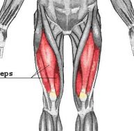 et/etirer-quadriceps.jpg
