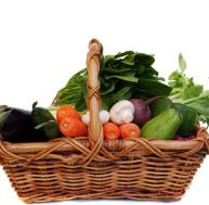 fo/fotolia-4060361-xs.jpg