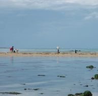 ma/maree-basse.jpg