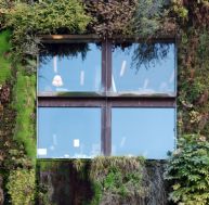 mu/mur-vegetal-plantes.jpg