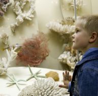 mu/musee-famille-lyon.jpg