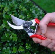 ou/outils-jardin-taille.jpg