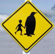 pa/panneau-pingouin.jpg