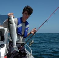 pe/peche-bar-0.jpg