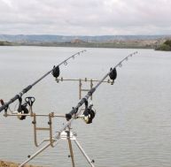 pe/peche-carpe-1.jpg