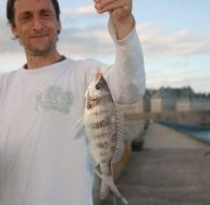pe/peche-dorade-grise-surfcasting.jpg