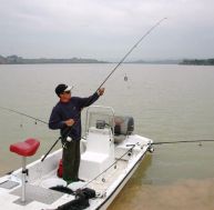 pe/peche-silure-0.jpg
