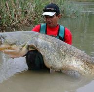pe/peche-silure.jpg