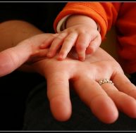pe/pension-alimentaire-0.jpg