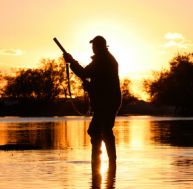 pe/permis-chasse-temporaire-cout.jpg