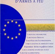 pe/permis-detention-armes-feu.jpg