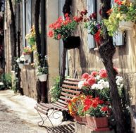 po/pots-fleurs.jpg