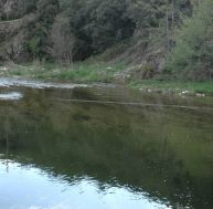 te/techniques-peche-truite.jpg