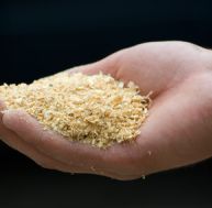 to/toilette-seche-ecolo-compost.jpg