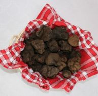 tr/truffes.jpg