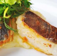 tu/turbot-duvedon.jpg