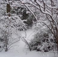zo/zone-rusticite-jardin-sous-neige.jpg