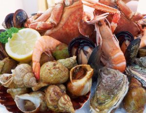Quels sont les aliments les plus riches en iode ?