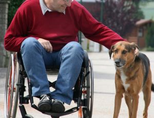 Allocation aux adultes handicapés (AAH) : tout savoir