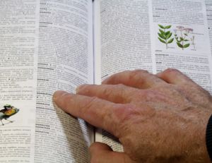 Améliorer son orthographe