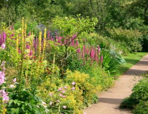 Aménager une allée de jardin