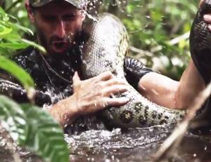 Affiche du film "Anaconda"