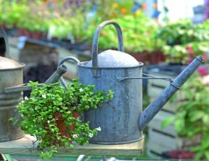 Arrosez votre jardin sans gaspiller