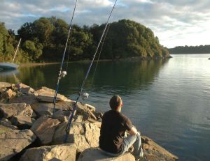 Pêche du bar en surfcasting
