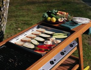 Barbecue et plancha © Castorama