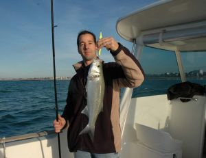 Comment pêcher le bar en bateau