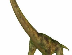 Reconstitution d’un brachiosaure