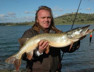 La pêche du brochet au vif