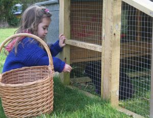 Fabriquer une cage pour son lapin