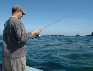 Choisir sa canne pour la pêche en mer