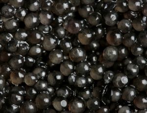 Caviar : les oeufs d'or de l'esturgeon