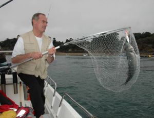 Le soir, le pêcheur peut suivre les chasses en bateau